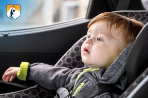 westcliff early learning 6 to 9 months exploring interaction