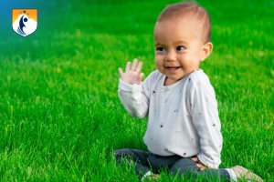 westcliff early learning 9 to 12 months emerging independence