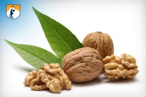 westcliff early learning food as medicine omega-3