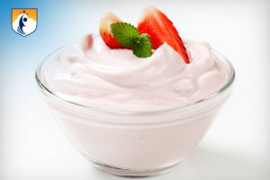 westcliff early learning food as medicine probiotics