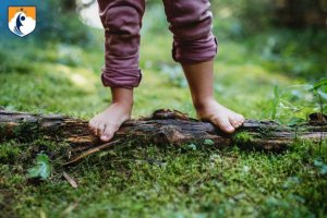 Westcliff Early Learning Academy Environmental Education