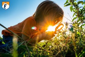 Westcliff Early Learning Academy Exploring Nature